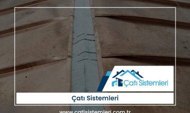 Edirne Çatı Sistemleri